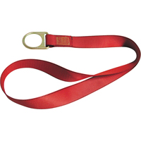 PointGuard Anchorage Connector Straps, D-Ring, Temporary Use Distribution Industrielle GC