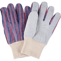 Gants de travail d'usage standard, Grand, Paume en Cuir de vache refendu Distribution Industrielle GC