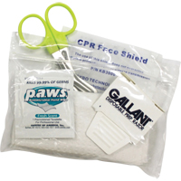 Trousse d'accessoires CPR-D, Powerheart G3/Powerheart G5/Zoll AED 3 Pour, Classe 4 Distribution Industrielle GC