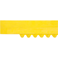 Rampe de bordure pour tapis Distribution Industrielle GC