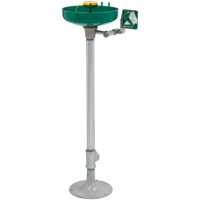 Axion&reg; Eye/Face Wash Station, Pedestal Installation, Plastic Bowl Distribution Industrielle GC