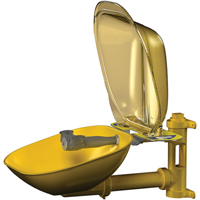 Poste de douche oculaire Halo, Installation Montage mural, Bol Plastique Distribution Industrielle GC