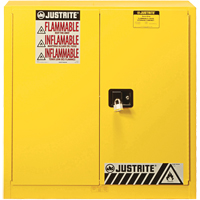Armoire de s&eacute;curit&eacute; pour produits inflammables Ex Sure-Grip, 30 gal., 2 Porte(s), 36" La x 35" h x 24" p Distribution Industrielle GC
