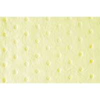 Feuilles absorbantes li&eacute;es de premi&egrave;re qualit&eacute;, Mati&egrave;res dangereuses, 15" x 18", 30 gal. d'absorption Distribution Industrielle GC