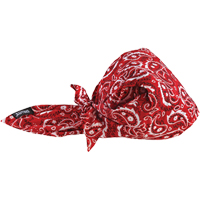 Bandeaux en triangle 6710CT de refroidissement en tissu de serviette Chill-Its, Rouge Distribution Industrielle GC