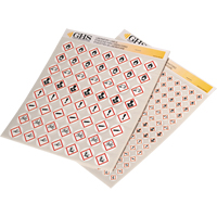 GHS Hazard Pictogram Label Variety Packs, Vinyl, Sheet, 1" L x 1" W Distribution Industrielle GC
