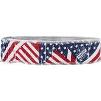 Chill-Its 6605 Cooling Headbands, Multi-Colour Distribution Industrielle GC