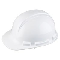 Casque de s&eacute;curit&eacute; Whistler de North, R&eacute;pond aux normes CSA type 1, Suspension Rochet, Non ventil&eacute; Distribution Industrielle GC