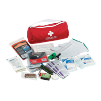 Trousse de premiers soins pour auto Dynamic, Dispositif m&eacute;dical Classe 1, Sac en nylon Distribution Industrielle GC
