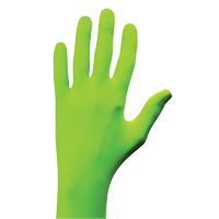 Gants N-Dex, Petit, Nitrile, 5 mils, Sans poudre, Vert Distribution Industrielle GC