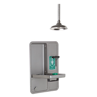 Eye/Face Wash and Shower, Ceiling-Mount Distribution Industrielle GC