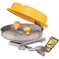 Poste de douche oculaire, Installation Montage mural, Bol Acier inoxydable Distribution Industrielle GC