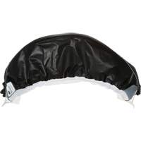 Powered Air Purifying Respirators