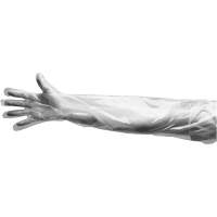 Gants jetables, Grand, Poly&eacute;thyl&egrave;ne, 9 mils, Poudr&eacute;s, Transparent Distribution Industrielle GC