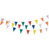 Pennant String, 60' L, Multicolour Distribution Industrielle GC