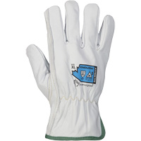 Gants r&eacute;sistant &agrave; la coupure et &agrave; l'arc &eacute;lectrique Endura, T-petit, 10" lo, 36 cal/cm², Niveau 3, NFPA 70E Distribution Industrielle GC