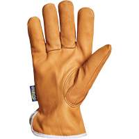 Endura&reg; Driver's Glove, Small, Grain Goatskin Palm, Thinsulate Inner Lining Distribution Industrielle GC