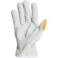 Endura&reg; Driver's Gloves, Small, Grain Goatskin Palm Distribution Industrielle GC