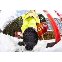 Aide &agrave; la traction robuste, Carbure de tungst&egrave;ne, Traction Crampon, Petit Distribution Industrielle GC
