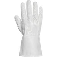 Ground Hog Electro-Static Spray Painting Gloves, Size Large, 11.5" L, Polyurethane Distribution Industrielle GC