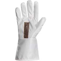 Ground Hog Electro-Static Spray Painting Gloves, Size Large, 11.5" L, Polyurethane Distribution Industrielle GC