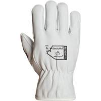Endura&reg; Winter-Lined Driver Gloves, X-Large, Grain Goatskin Palm, Thinsulate Inner Lining Distribution Industrielle GC
