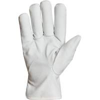 Endura&reg; Winter-Lined Driver Gloves, X-Large, Grain Goatskin Palm, Thinsulate Inner Lining Distribution Industrielle GC