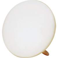 Lampe &agrave; luminoth&eacute;rapie pour le traitement de la d&eacute;pression saisonni&egrave;re Distribution Industrielle GC