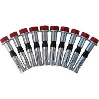 Jeu de boulons de rechange pour ancrages &agrave; anneau en D pour b&eacute;ton, Boulonn&eacute;, Usage Permanent/Temporaire Distribution Industrielle GC