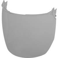 Lentilles de remplacement d&eacute;cran facial, Polycarbonate, Teinte Grise/fum&eacute;e Distribution Industrielle GC