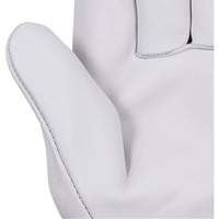 535G Gants de chauffeur beige, Petit, Paume en Cuir fleur de vache Distribution Industrielle GC