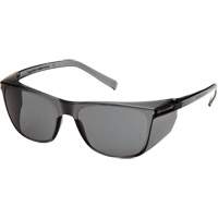 Lunettes de s&eacute;curit&eacute; Legacy, Lentille Gris, ANSI Z87+/R&eacute;pond ou surpasse la norme CSA Z94.3 Distribution Industrielle GC