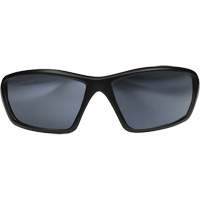 Robson Safety Glasses with Gasket, Silver Mirror Lens, Anti-Scratch/Polarized, ANSI Z87+/MCEPS GL-PD 10-12/Meets/Exceeds CSA Z94.3 Distribution Industrielle GC