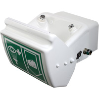 Douche oculaire/faciale, Installation Montage mural, Bol Plastique Distribution Industrielle GC