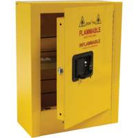 Armoire de s&eacute;curit&eacute; miniature pour produits inflammables, 2 gal., 1 Porte(s), 17" La x 22" h x 8" p Distribution Industrielle GC