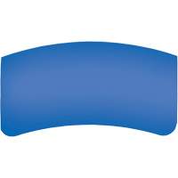 Lentille ext&eacute;rieure Bullard GenVX PETG Distribution Industrielle GC