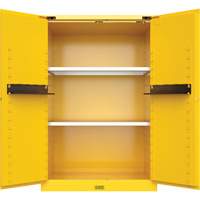 Armoire de s&eacute;curit&eacute; pour produits inflammables Utili-Guard+, 45 gal., 2 Porte(s), 43" La x 65" h x 22" p Distribution Industrielle GC