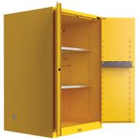 Armoire de s&eacute;curit&eacute; pour produits inflammables Utili-Guard+, 45 gal., 2 Porte(s), 43" La x 65" h x 22" p Distribution Industrielle GC