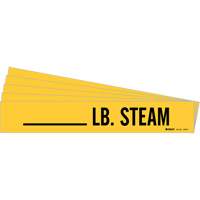 "LB. Steam" Pipe Markers, Self-Adhesive, 2-1/4" H x 2-3/4" W, Black on Yellow Distribution Industrielle GC