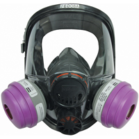 Respirateur &agrave; masque complet North s&eacute;rie 7600, Silicone, Petit Distribution Industrielle GC