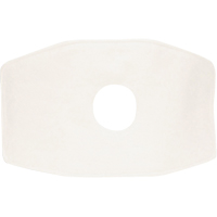 North&reg; Replacement Filter, Particulate Filter, N99 Filter Distribution Industrielle GC