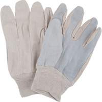 Gants de travail d'usage standard, Grand, Paume en Cuir de vache refendu Distribution Industrielle GC