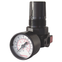 Mini r&eacute;gulateurs, 1/4" NPT, PSI max. de 165 PSI, Modulaire Distribution Industrielle GC