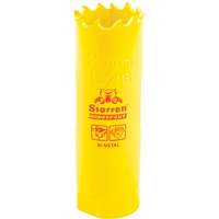 Scie &agrave; cloche bim&eacute;tal 13/16", 13/16", Profondeur de la coupe 2", Bim&eacute;tal Distribution Industrielle GC