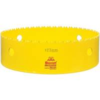 Scie &agrave; cloche bim&eacute;tal 6-31/3, 6-31/32", Profondeur de la coupe 2", Bim&eacute;tal Distribution Industrielle GC