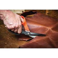 Cisaille pour ouvrier professionnel, 10", Poign&eacute;e Anneaux Distribution Industrielle GC