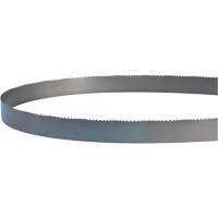 Lame soud&eacute;e pour scie &agrave; ruban, Bim&eacute;tal, 14' lo x 1" la x 4 - 6 dents par pouce Distribution Industrielle GC