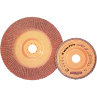 Disque &agrave; lamelles Stainless Enduro-Flex, 4-1/2" x 7/8", Type 27, Grain 40, Alumine de zirconium Distribution Industrielle GC