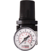 R&eacute;gulateurs, 1/4" NPT, PSI max. de 150 psi, Modulaire Distribution Industrielle GC