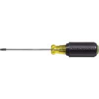 Tournevis Klein a/manche caoutchout&eacute;-Tournevis Torx &agrave; tige ronde Distribution Industrielle GC